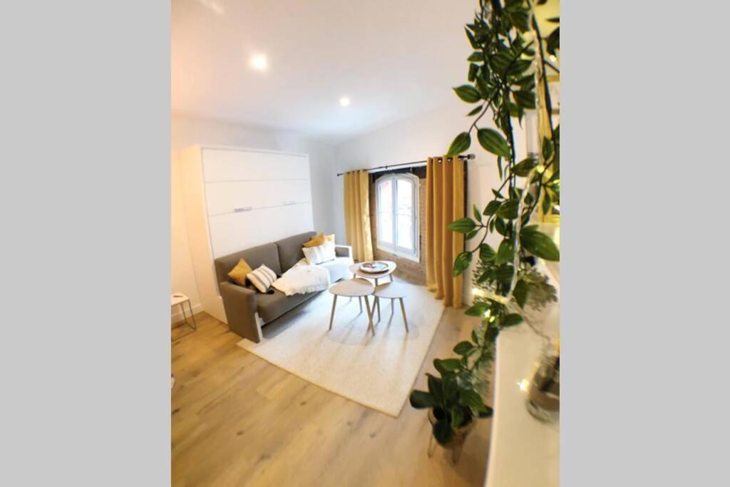 Le Floral - Hypercentre Capitole # Parking Prive # Queen Size Toulouse Ngoại thất bức ảnh