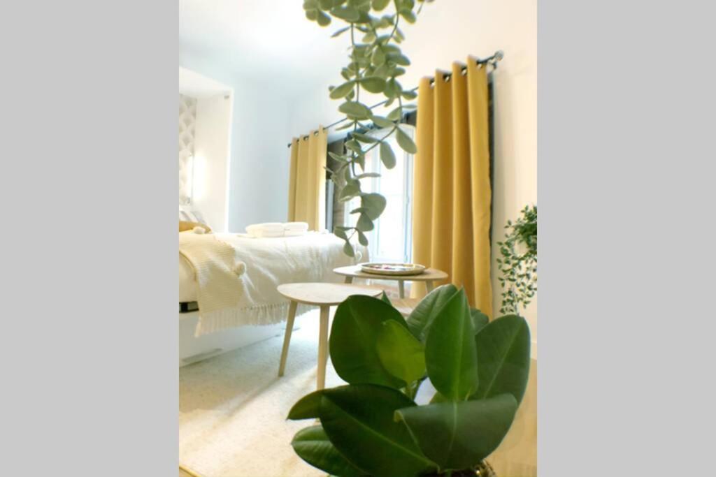 Le Floral - Hypercentre Capitole # Parking Prive # Queen Size Toulouse Ngoại thất bức ảnh