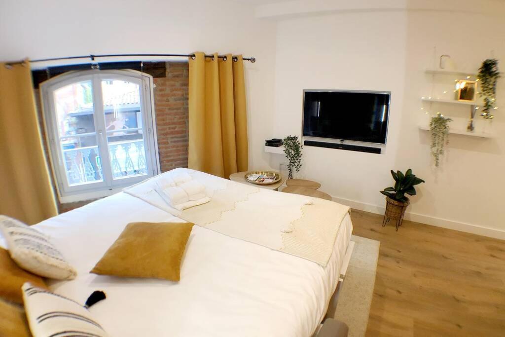 Le Floral - Hypercentre Capitole # Parking Prive # Queen Size Toulouse Ngoại thất bức ảnh